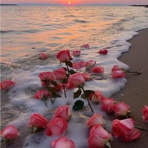 Meet your Posher, Sarah!